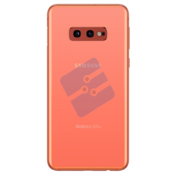 Samsung G970F Galaxy S10e Vitre Arrière Flamingo Pink
