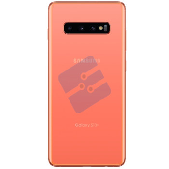 Samsung G975F Galaxy S10 Plus Vitre Arrière Flamingo Pink