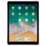 iPad Pro (12.9) - (2nd Gen)