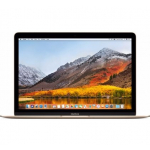 MacBook Retina 12 Inch - A1534
