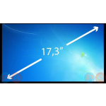 Laptop LCD 17.3 inch
